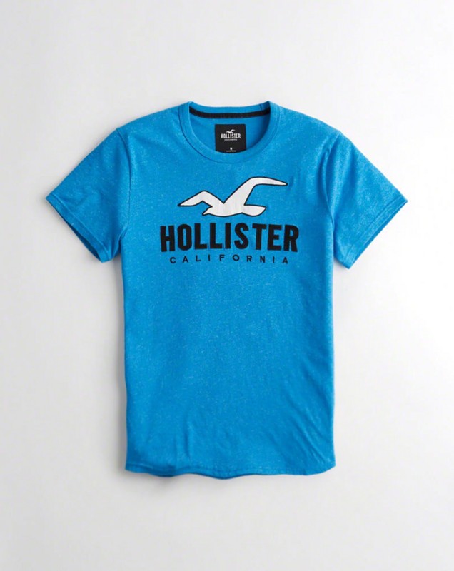 Hollister Men's T-shirts 183
